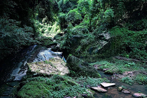 一心永恒